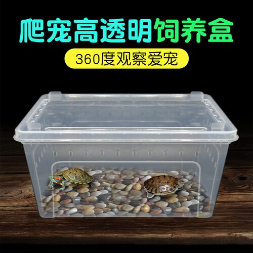 爬宠饲养盒两栖螃蟹守宫角蛙蜘蛛大号乌龟饲养箱带爬台造景爬虫盒