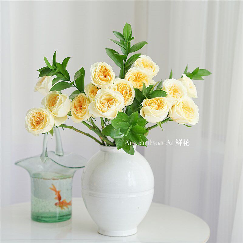 渐变双色高级奥斯汀花型奶油花园玫瑰鲜花母亲节情人节送花插花水