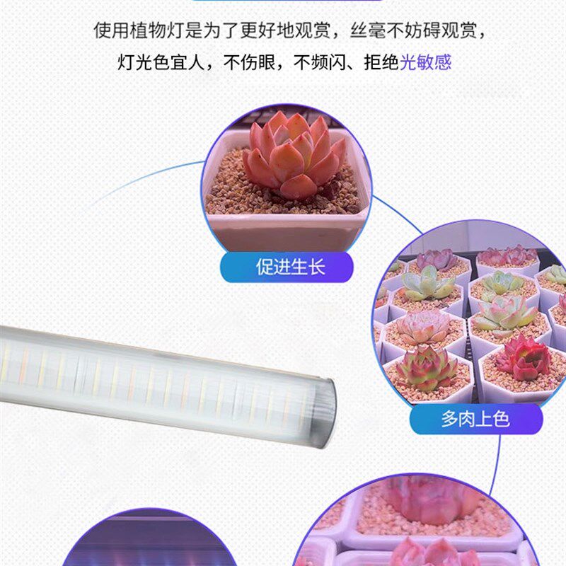 正阳多肉绿植花卉全光谱白光补光灯家用上色防徒室内大功率灯排