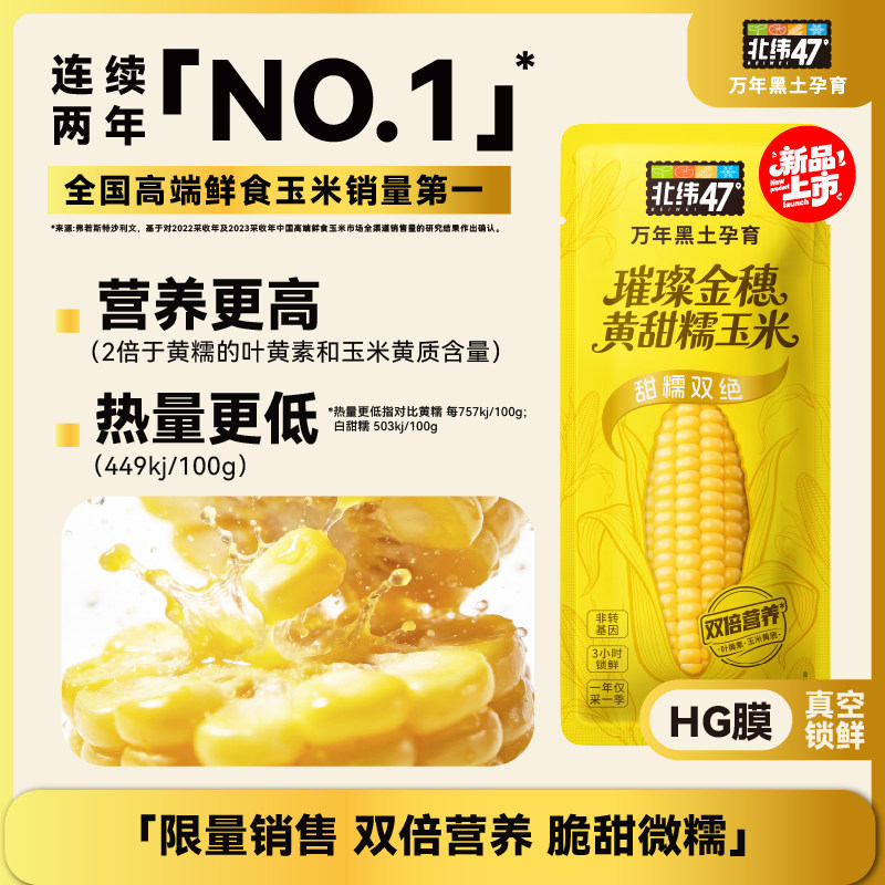 北纬47度黄甜糯东北玉米棒