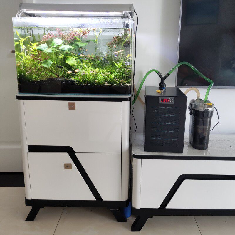 冷水机鱼缸制冷机小型降温制冷器家用水族降温设备海水通用养鱼