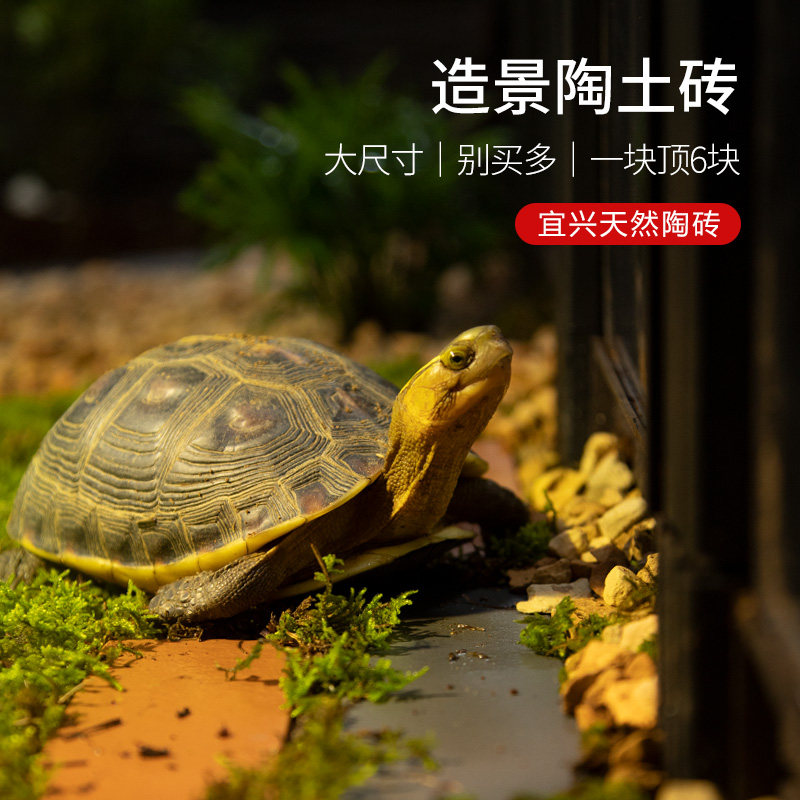 乌龟陶土砖生态造景透水砖鱼缸黄缘龟半水龟饲养箱布景装饰晒背台图片