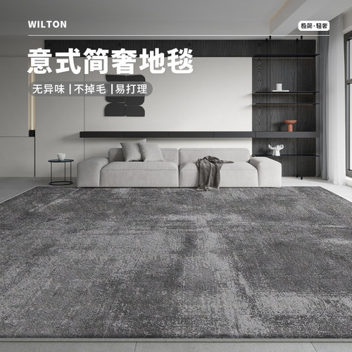地毯客厅2024新款轻奢高级感极简沙发茶几地垫北欧卧室免打理家用