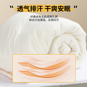 神气小鹿暖宝宝被子冬被棉被芯加厚保暖天季空调绒被单人四季通用