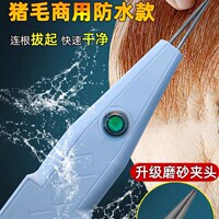 鑫力保电动拔猪毛神器通用款商用大力王还可拔鸭毛牛羊狗兔鼠全能