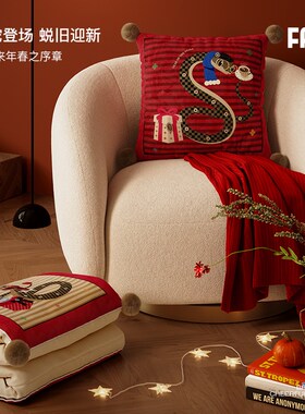 巳蛇贺岁新年红色氛围感抱枕被子两用冬天加厚车载车用折叠二合一