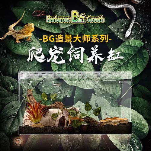 守宫鬃狮蜥角蛙蛇寄居蟹乌龟饲养缸爬宠造景爬虫缸雨林专用饲养盒