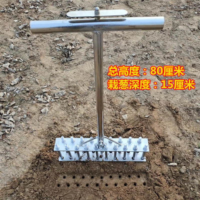 双排栽葱插葱神器葱叉子扎眼打孔神器大葱寒葱洋葱种菜移栽移苗器