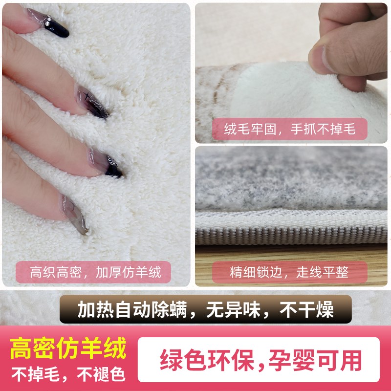 暖季轻奢石墨烯加热地毯客厅家用地暖垫可拆洗电热地毯发热地热垫