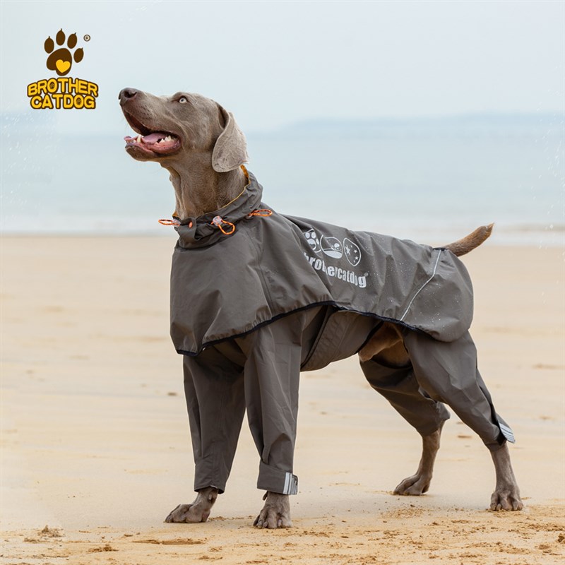 狗狗雨衣分体式宠物四脚防水衣服中型犬大型犬雨天大狗专用雨披
