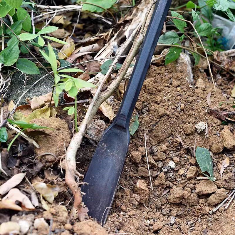 锻打弹簧钢洛阳铲实心移植铁锹挖洞坑挖树锹起苗挖冬笋园林铲子
