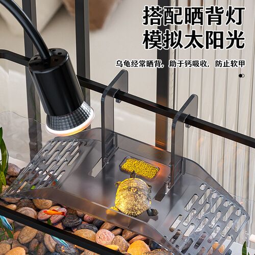 乌龟饲养缸鱼缸过滤制氧一体机小型客厅生态养乌龟专用缸家用新款