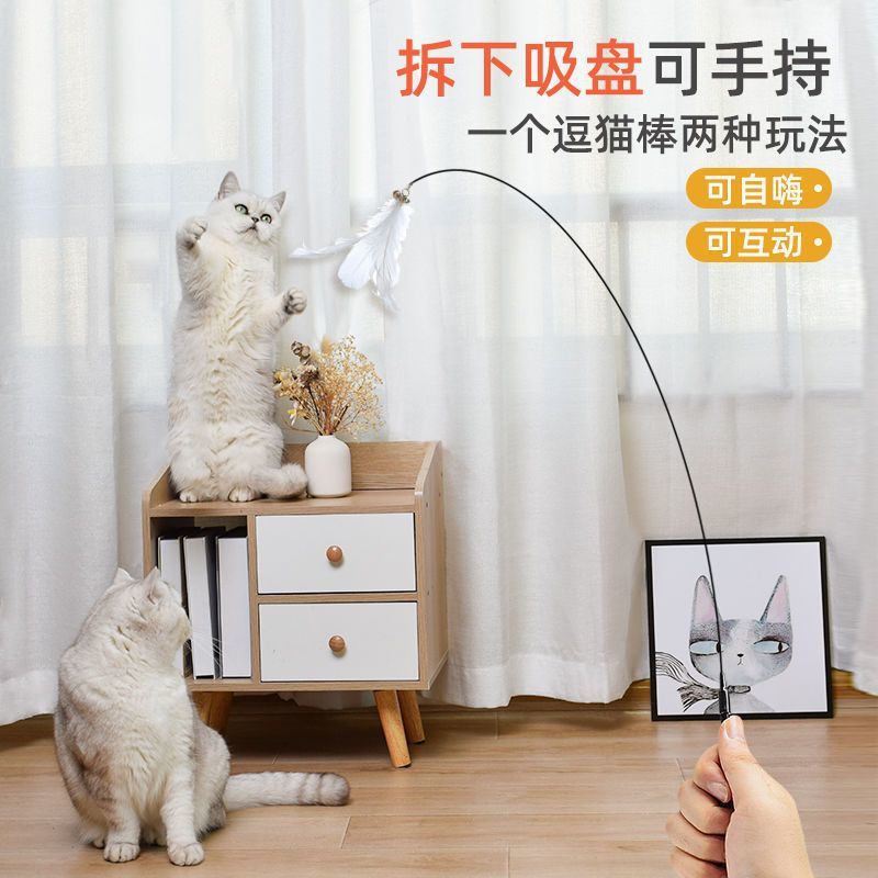 加长逗猫棒长杆耐用咬不烂猫咪玩具羽毛带铃铛不可伸缩钢丝宠物图片