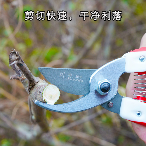 川昱206系列修枝剪园林果树剪刀粗枝剪省力果树剪园艺剪修树枝剪