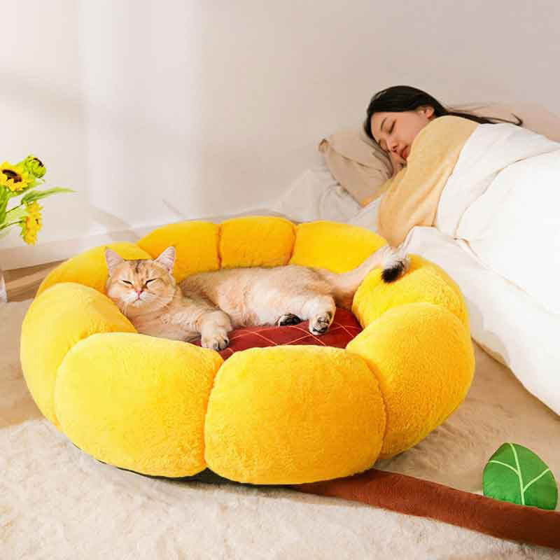 猫窝冬季保暖猫床泰迪比熊小型犬狗窝四季通用可爱花瓣窝宠物用品
