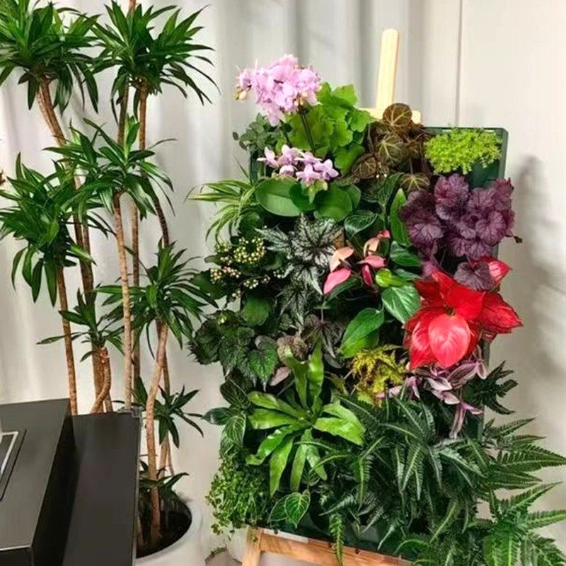 四孔种菜种花种植盒花盆户外工程室内绿化壁挂植物墙鸭脚4-5-6个