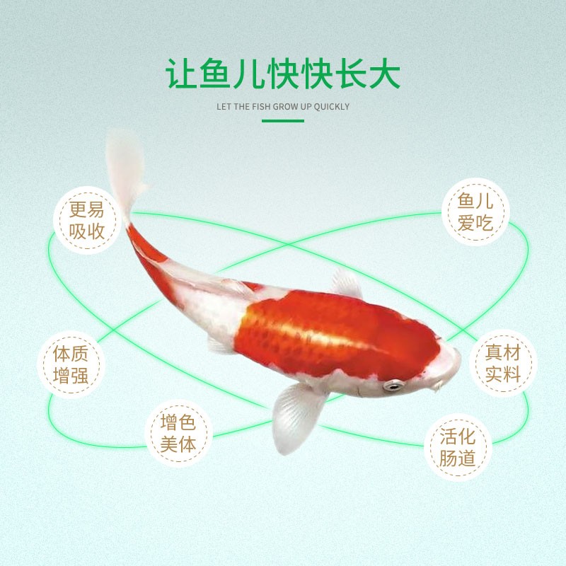鼎能锦鲤饲料鱼粮增肥增色鱼食大颗粒锦鲤鱼鲤鱼养殖专用健壮育成
