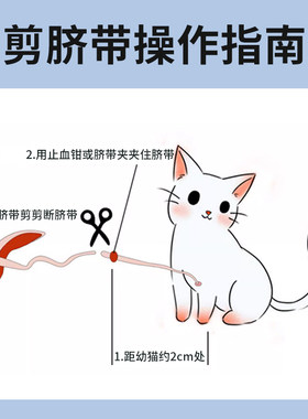 宠物待产包怀孕猫咪生产用具全套狗接生工具套装备产产房吸羊水器