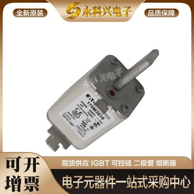 巴斯曼快速熔断器保险170M4063/4064/4065/4066/4067/4068/4068