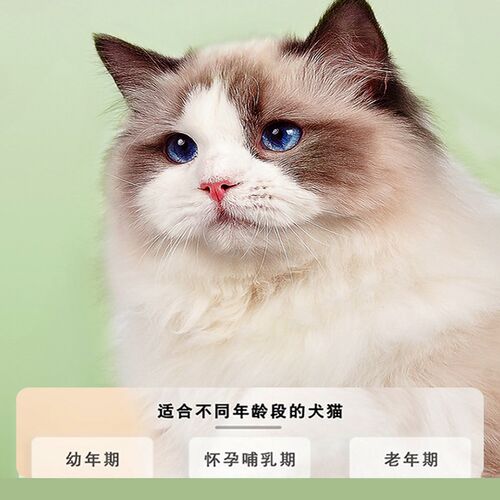 双雨复合维生素b猫用溶液提高免疫力宠物狗狗猫b族