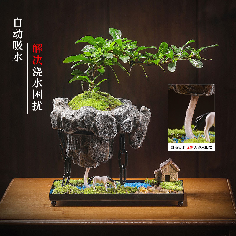 铁艺悬空福建茶文竹创意植物盆栽禅意摆件铁链悬浮景观微家居盆景