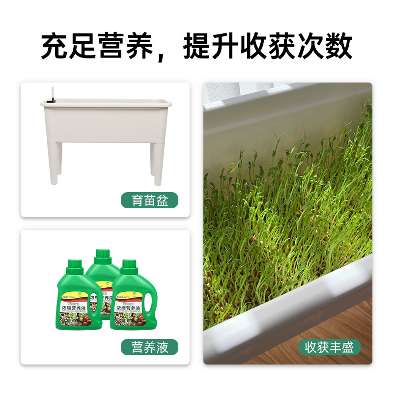 豆芽发芽盆芽苗菜育苗菜盆豆苗种植无土栽培设备水培蔬菜芽菜小麦