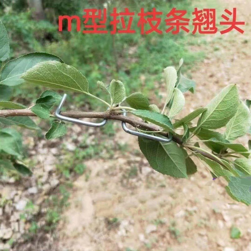 50斤果树SE.M型别枝器开角器拉枝器拨枝器压枝器园林工具弯枝神器