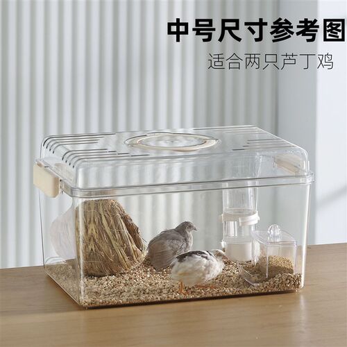 手提爬虫饲养缸乌龟缸昆虫守宫蜗牛寄居蟹螃蟹爬宠饲养盒带盖高透