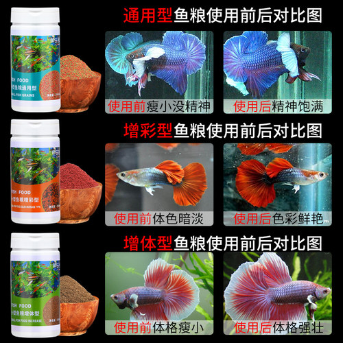 鱼食小颗粒鱼粮斗鱼通用型淡水鱼食热带鱼金鱼增红增色小型鱼饲料