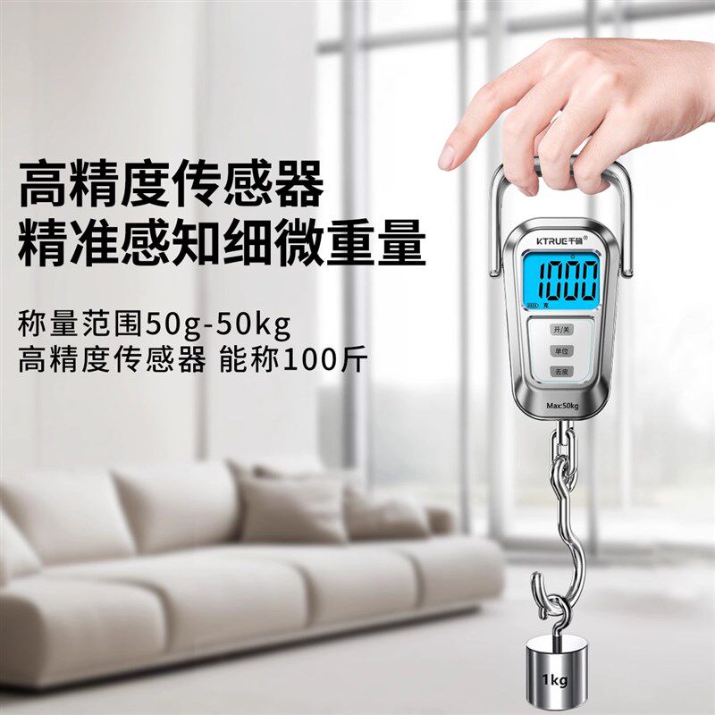 精准便携式手提电子秤家用高精度小型克称买菜商用菜场弹簧称重器