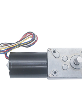 5840-3650直流无刷涡轮蜗杆减速电机 12V24V无刷电机自锁刹车电机