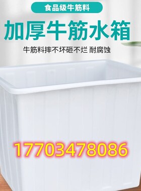 牛筋加厚塑料水箱长方形大容量储水桶养鱼卖鱼箱养殖200L500L1000