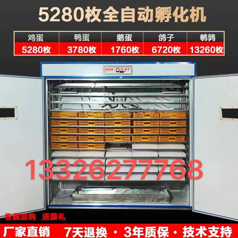 科裕全自动孵化机鸽子蛋孵化机家用智能孵化器小型鸡鸭鹅蛋孵化机