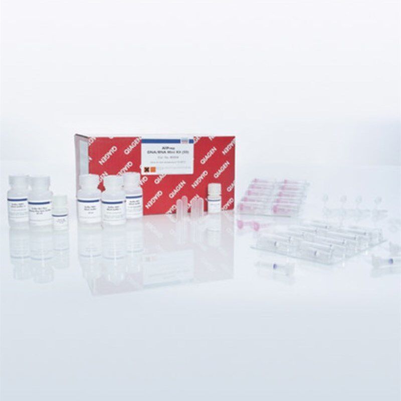 Qiagen 74204 RNA提取试剂盒 50T 凯杰 74204
