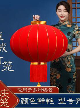 玄关年节装饰灯笼新款2026年中国风红灯笼大门口一对自建房挂大门