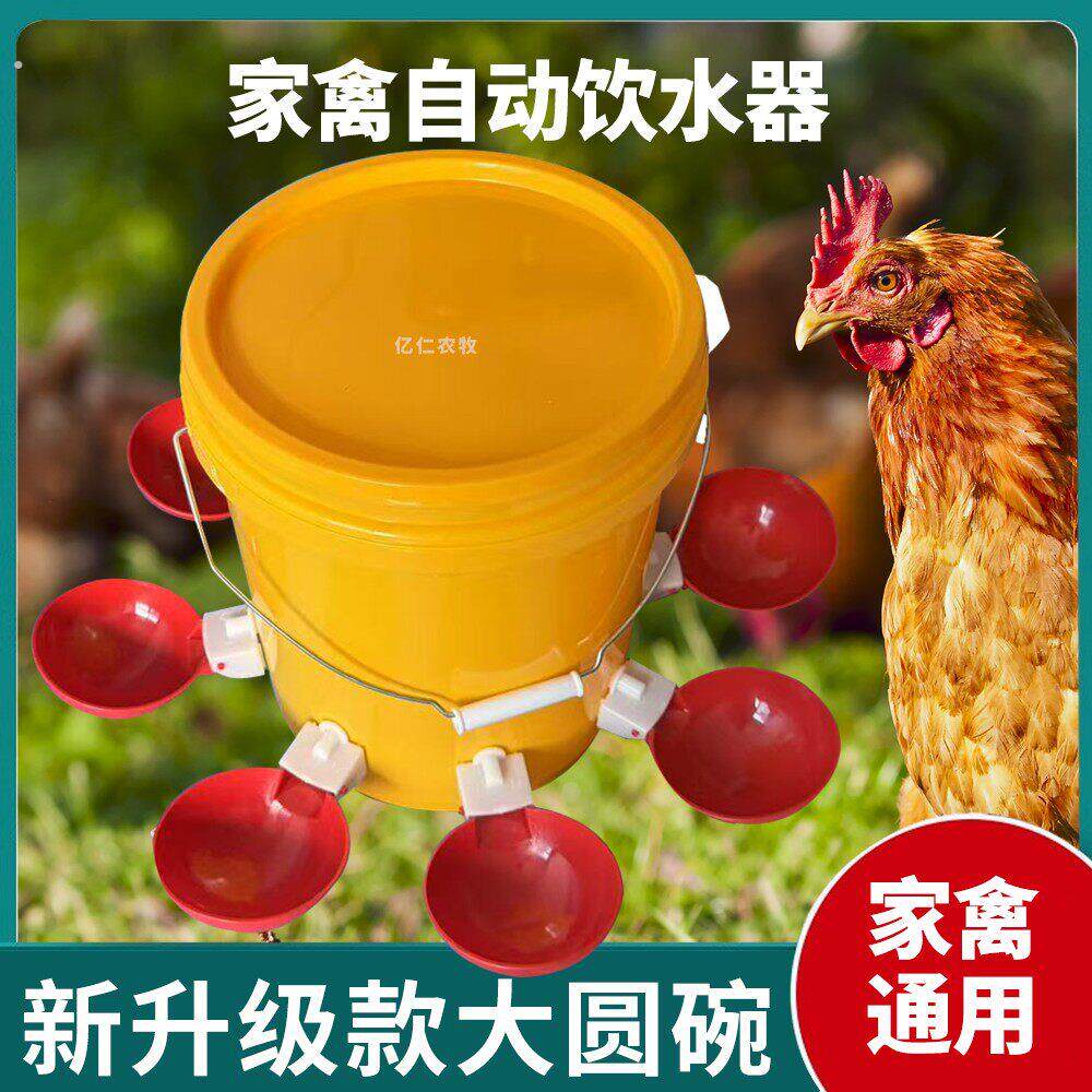 升级款圆碗鸡鸭鹅饮水器饮水碗鸽子喝水碗鹌鹑家禽鸟小鸡喂鸡神器
