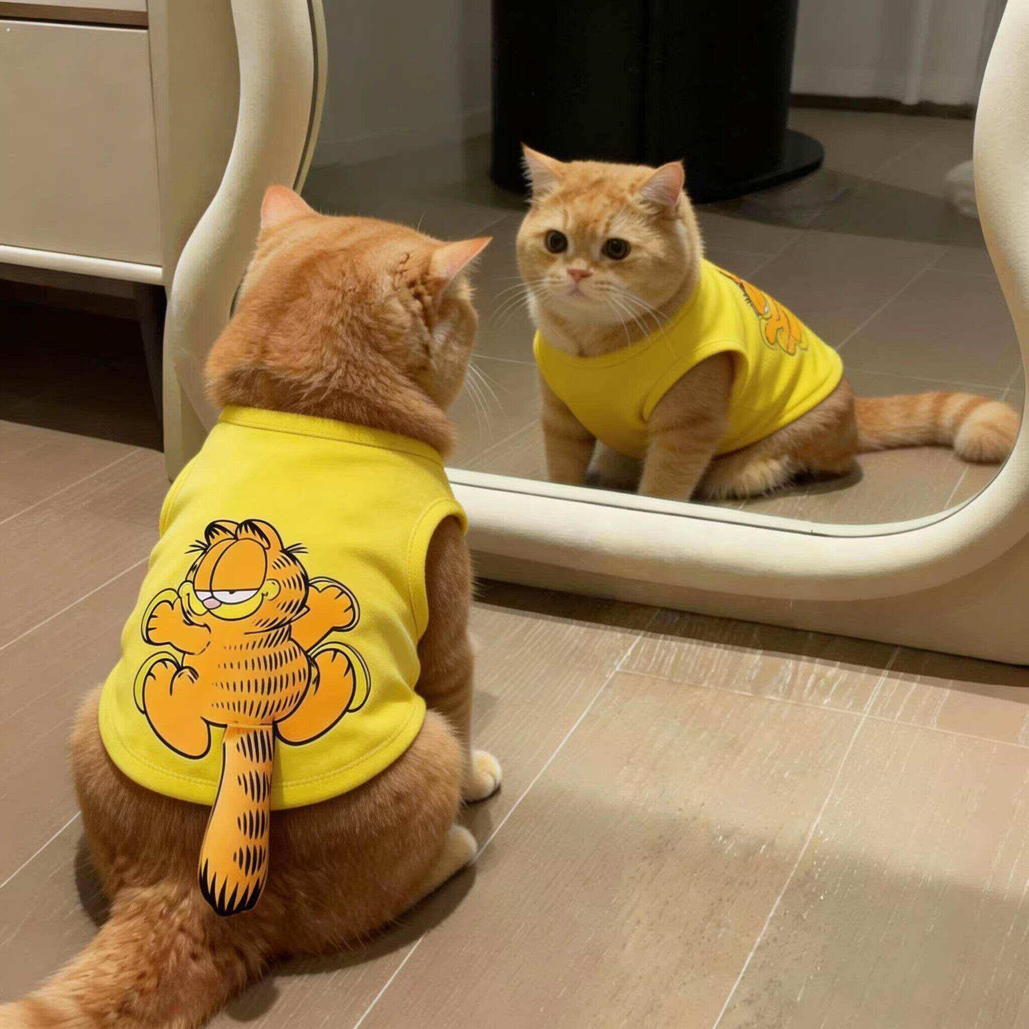 26夏季新款宠物猫咪狗狗衣服春季防掉毛可爱布偶猫德文小型犬背心