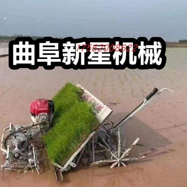 2023新型水稻插秧机高效率汽油牵引式6行插秧机7寸育苗盘插秧神器