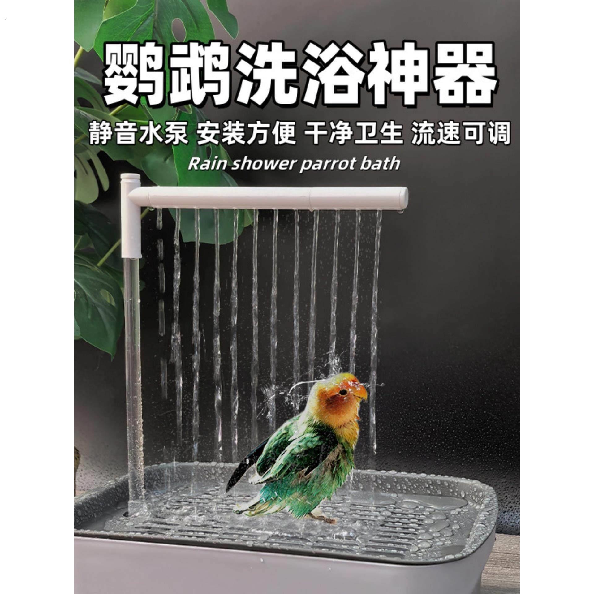 鹦鹉洗澡盆自动循环小鸟洗澡盆鹦鹉洗澡神器电动虎皮牡丹鸟用澡盆