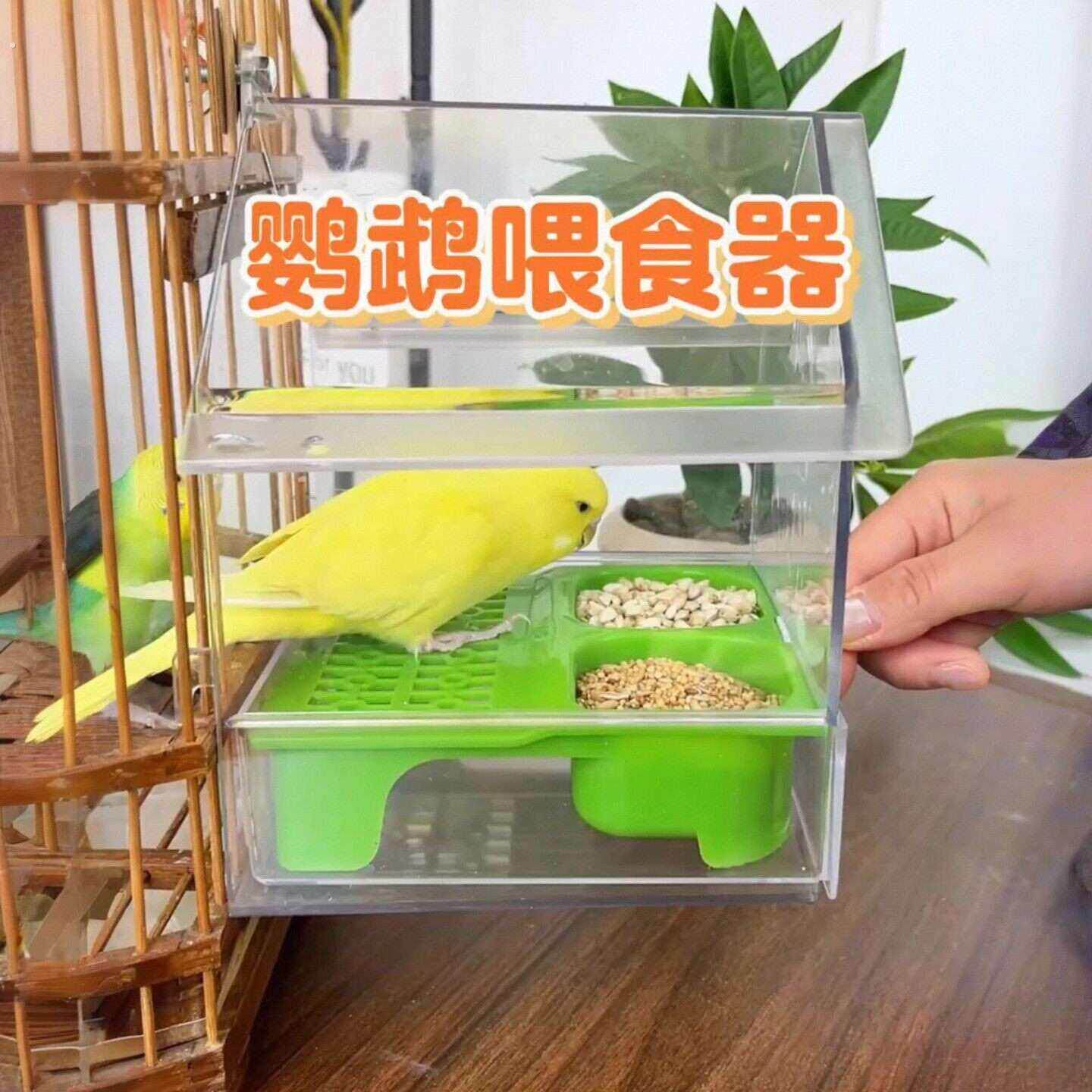 鹦鹉喂食器屋顶透明防溅洒洗澡盆外挂喂鸟水食盒牡丹虎皮玄凤食槽