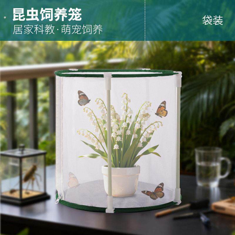 圆桶可折叠全景昆虫饲养观察笼透明网纱笼观赏笼