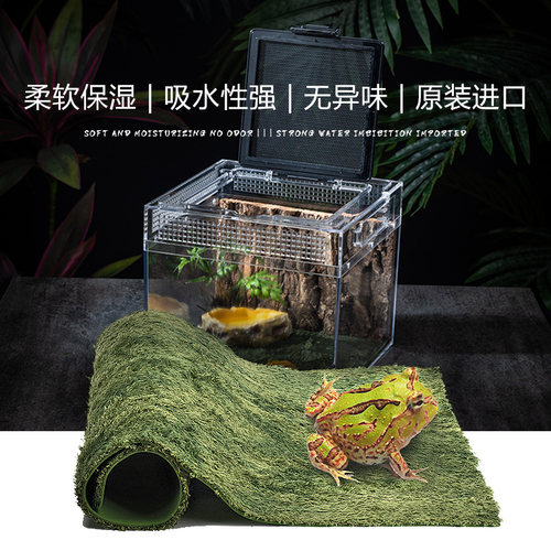 爬虫无菌莫斯地垫宠物雨林蜥蜴蛇水陆龟角蛙守宫造景垫材保湿地毯