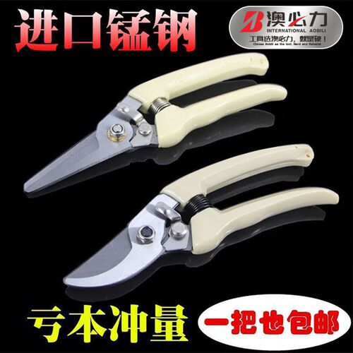 果树修剪刀园林修剪树枝专用剪子省力园艺修花枝花艺剪刀多功能
