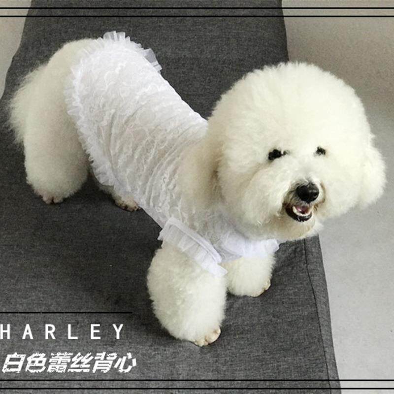 查利家狗狗蕾丝公主裙子泰迪衣服夏装贵宾犬背心T恤小狗狗幼犬夏
