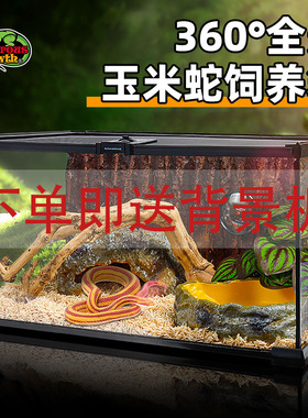 BG超白玻璃成体宠物蛇饲养箱爬宠饲养缸养蛇专用雨林造景生态缸