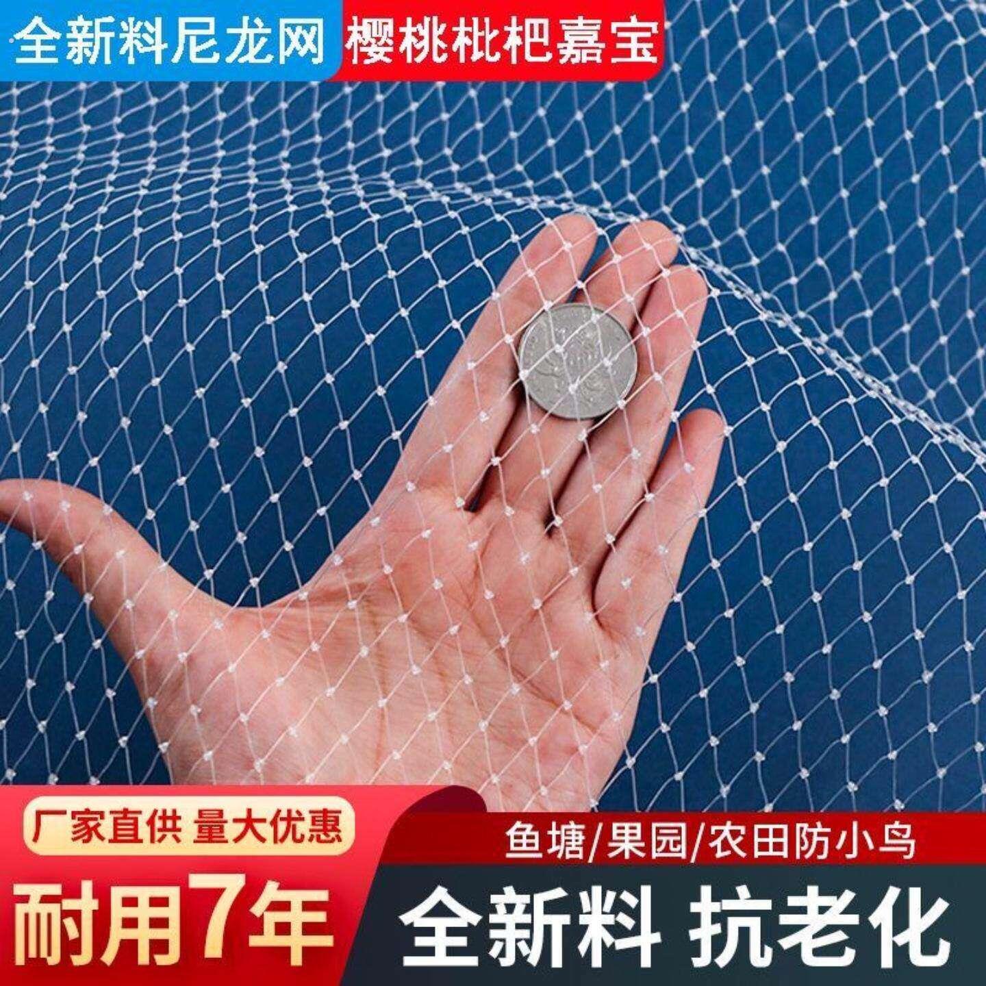 防止鸟吃果子的网防鸟罩葡萄果男女雹网蓝莓樱桃果尼龙1厘米网孔