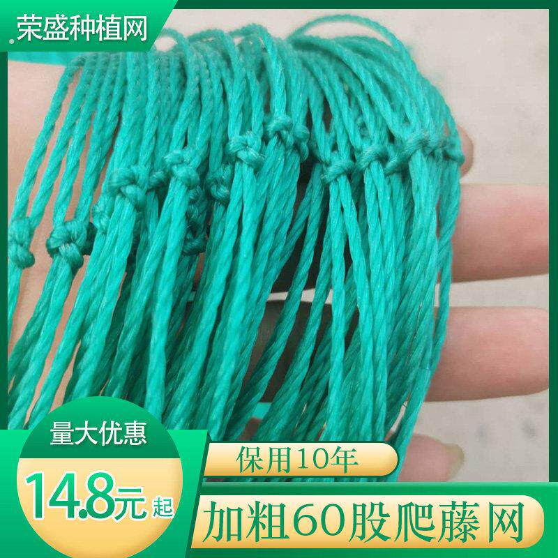 爬藤网庭院攀爬网架农用种植攀爬百香果网网果蔬黄瓜植物专用网网