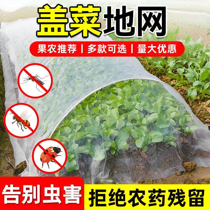盖菜地网农用种植小青菜防虫网透气种菜遮阳白色大棚蔬菜专用纱网