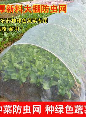 80目防虫网阳台种菜 加厚防虫纱网 蔬菜大棚防虫网 宽3米50米