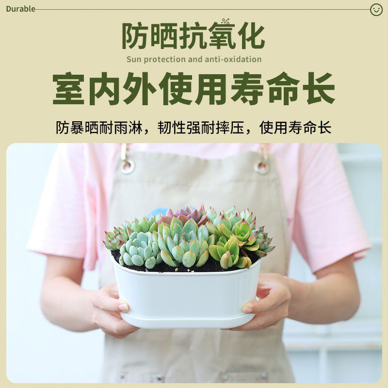 西子花语多肉花盆家用椭圆形花盆新款中小号专用花盆加厚盆栽盆子